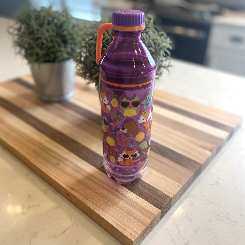 Cool Gear 18oz Double Wall Pop Bottle Kids Screw Off Lid Water Bottle